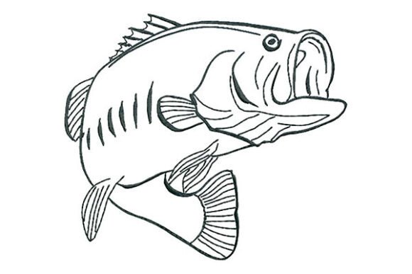 Bass Fish Calligraphy Style Embroidery Review for Business Use